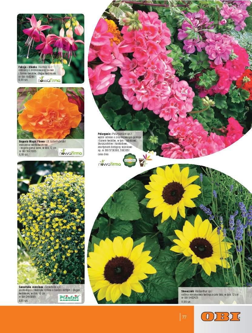 Gazetka promocyjna OBI str. 77