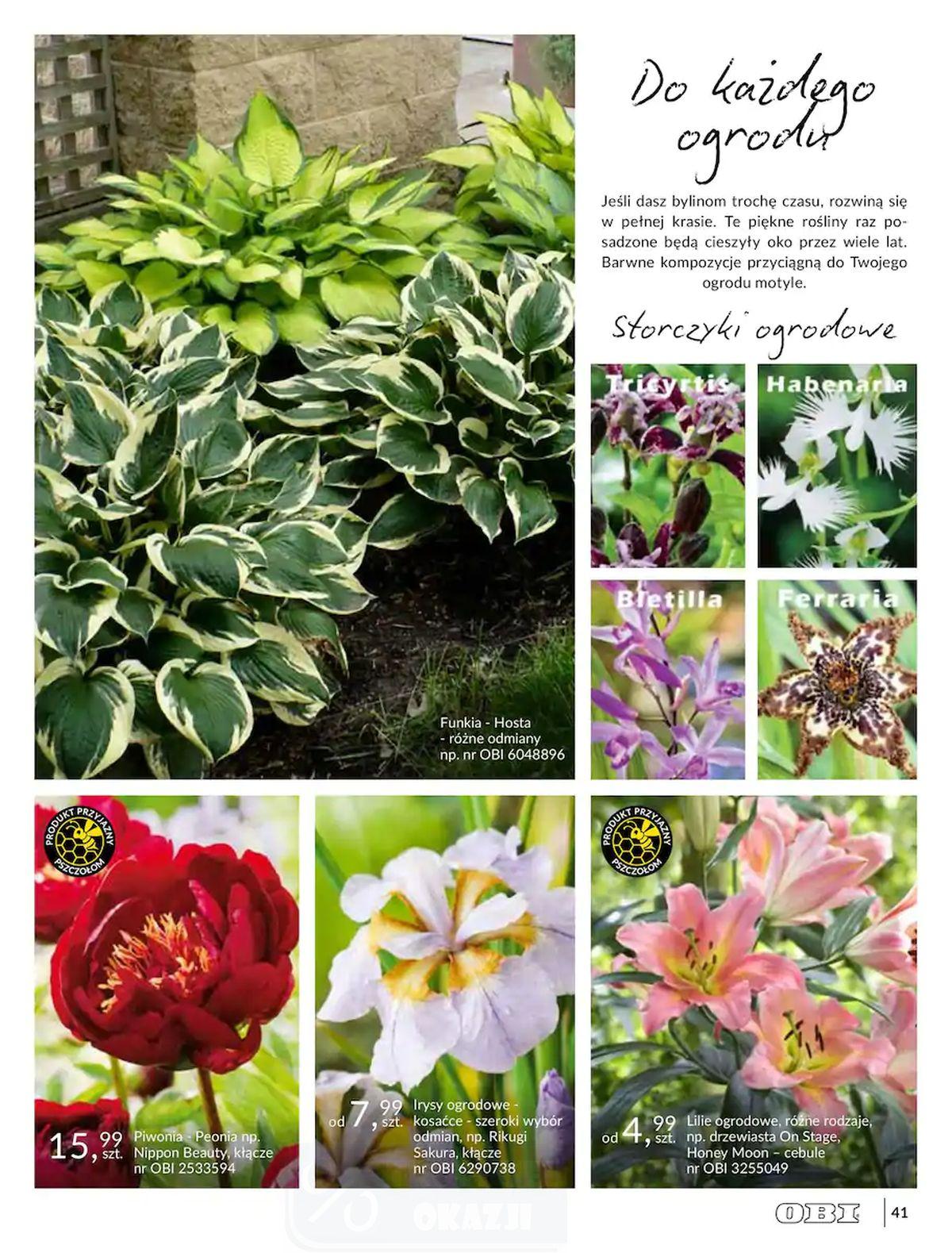 Gazetka promocyjna OBI str. 41