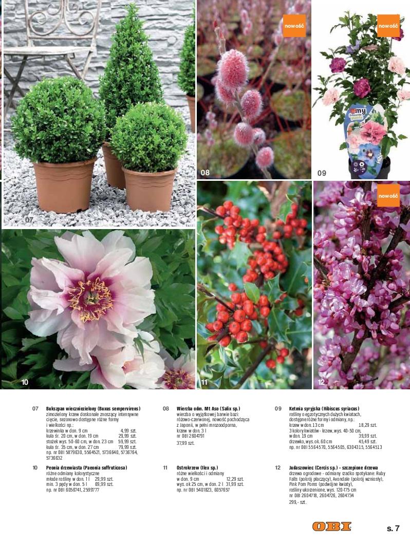 Gazetka promocyjna OBI str. 7