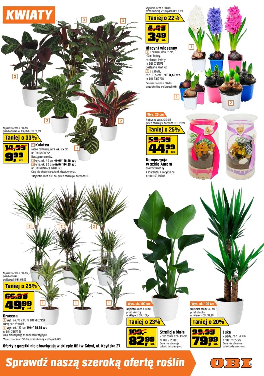 Gazetka promocyjna OBI str. 13