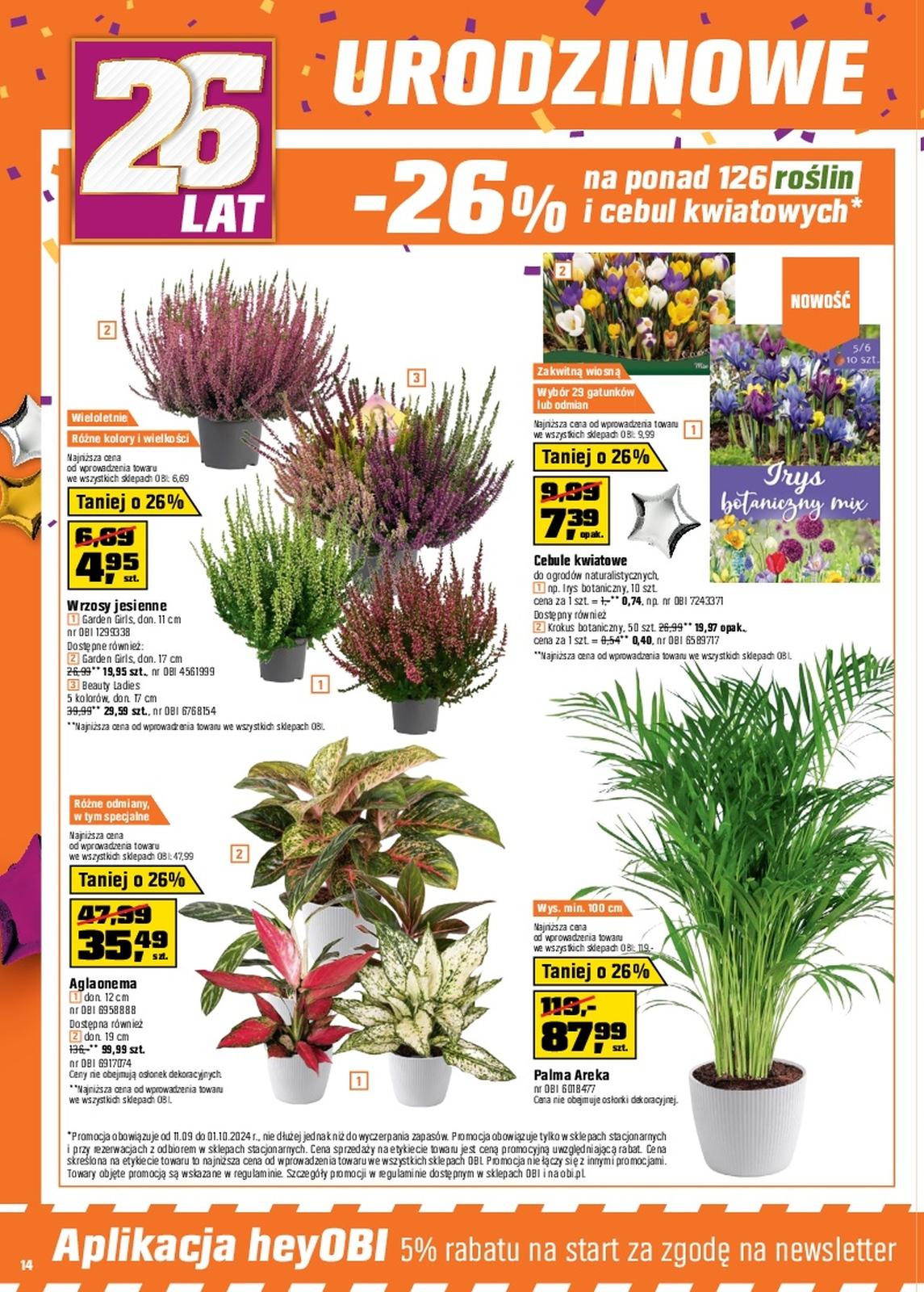 Gazetka promocyjna OBI str. 14