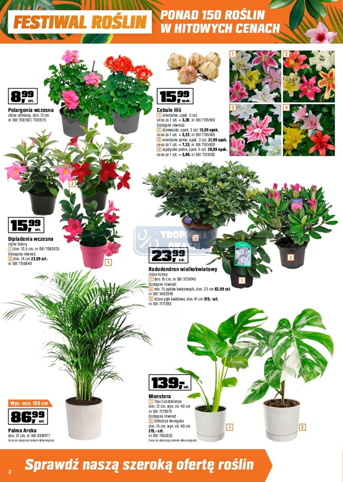 Gazetka promocyjna OBI str. 2