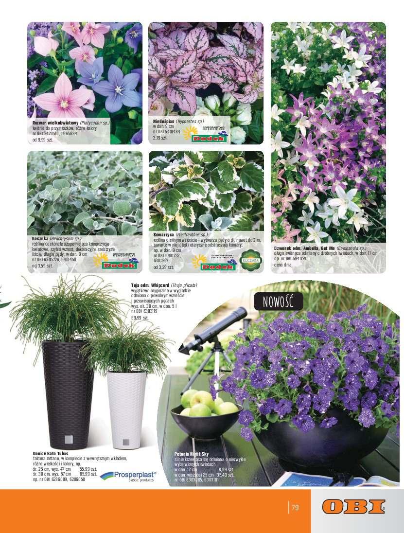Gazetka promocyjna OBI str. 79