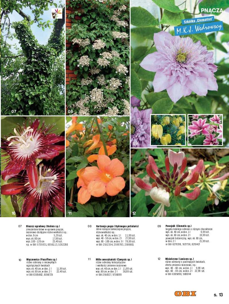 Gazetka promocyjna OBI str. 13