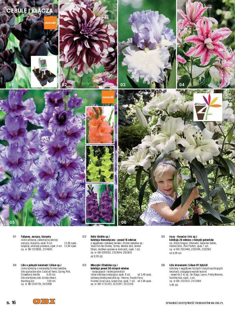 Gazetka promocyjna OBI str. 16
