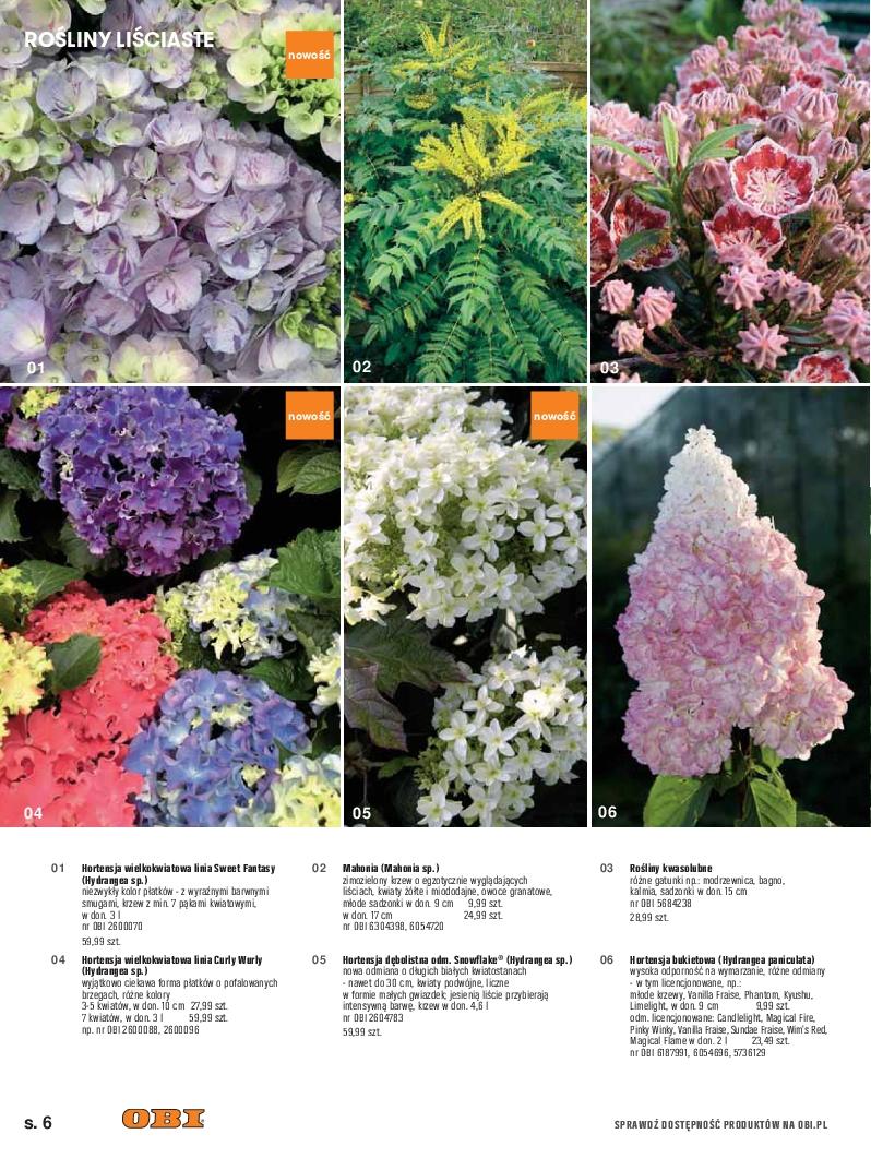 Gazetka promocyjna OBI str. 6