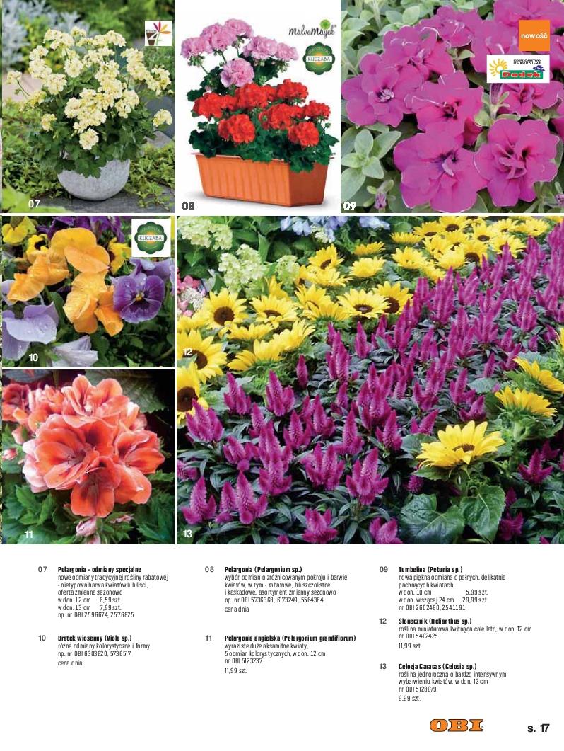 Gazetka promocyjna OBI str. 17