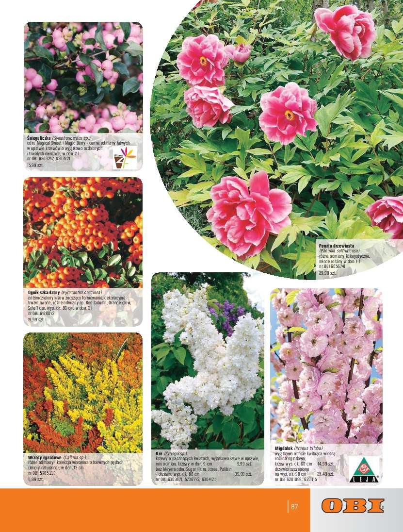 Gazetka promocyjna OBI str. 87