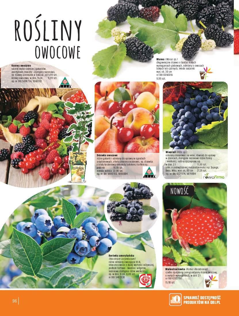 Gazetka promocyjna OBI str. 96