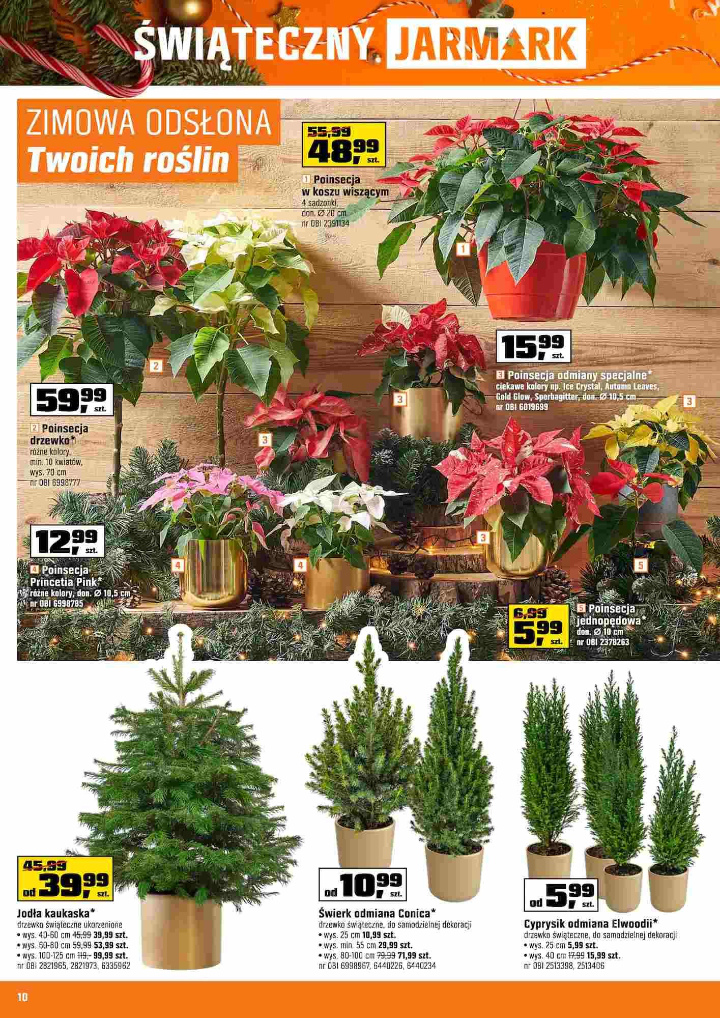 Gazetka promocyjna OBI str. 10