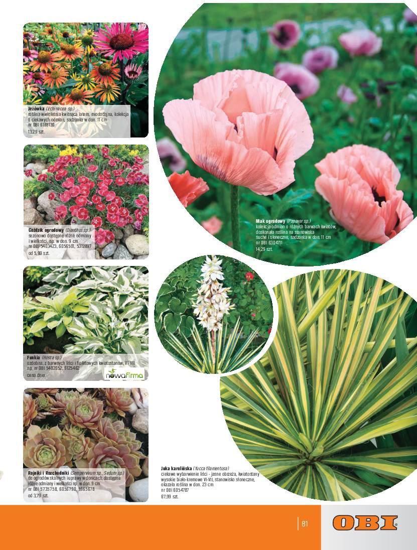 Gazetka promocyjna OBI str. 81