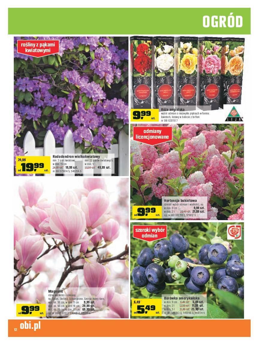 Gazetka promocyjna OBI str. 12