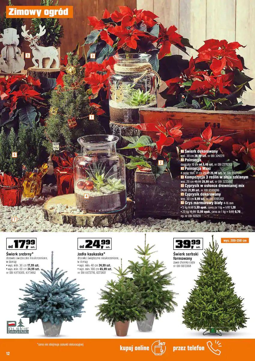 Gazetka promocyjna OBI str. 12