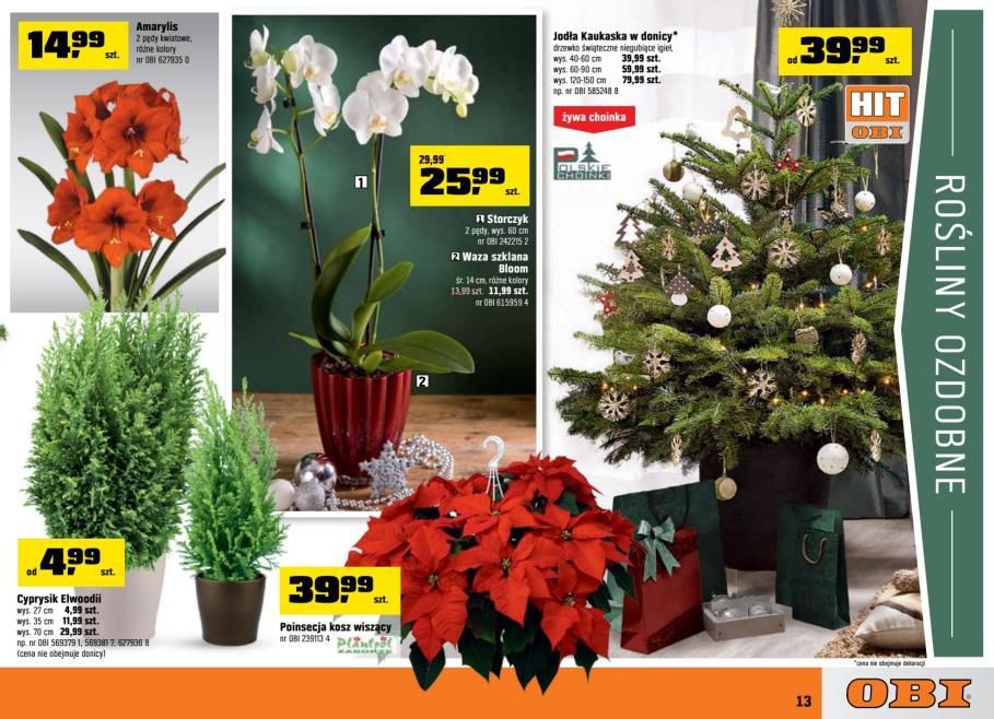 Gazetka promocyjna OBI str. 13