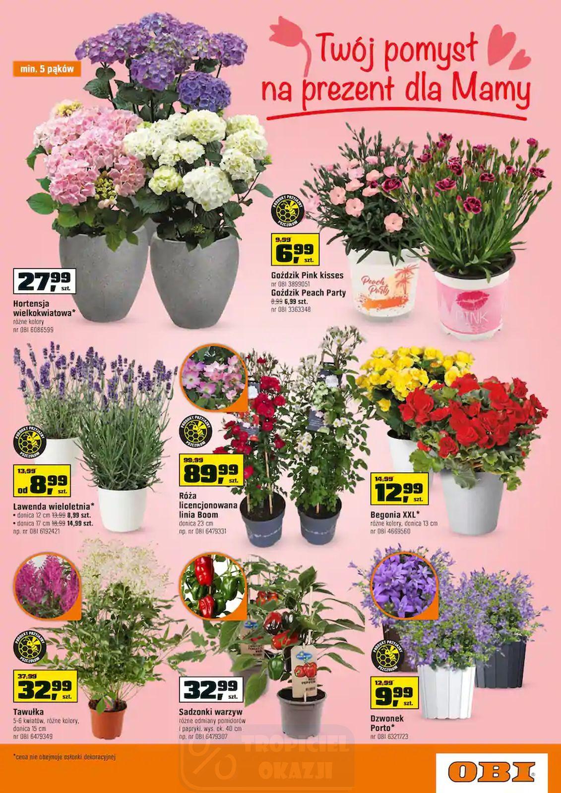 Gazetka promocyjna OBI str. 7