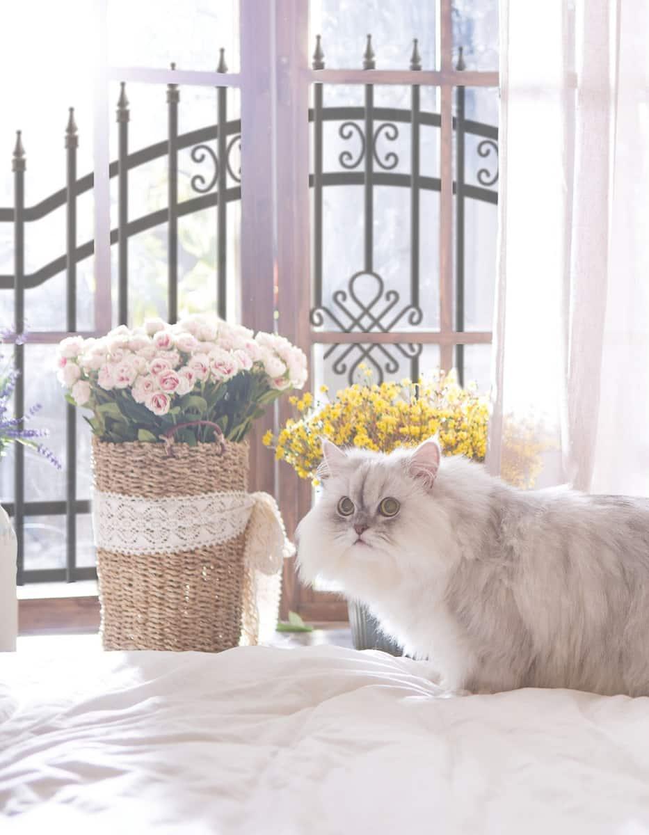 Gazetka promocyjna OBI str. 6